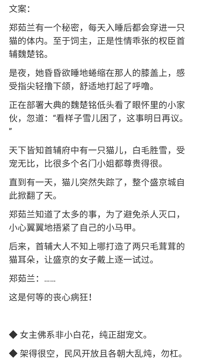 小辣文合集，变化中的学习之旅与自信成就感的融合最新章节阅读汇总