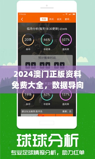 2024澳门今晚开特,实地数据评估分析_计算能力版33.412